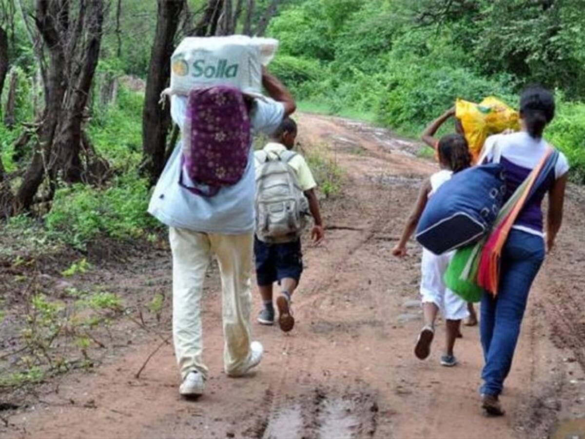 No ha habido un plan regional para controlar la situación en Cauca: presidente de Indepaz