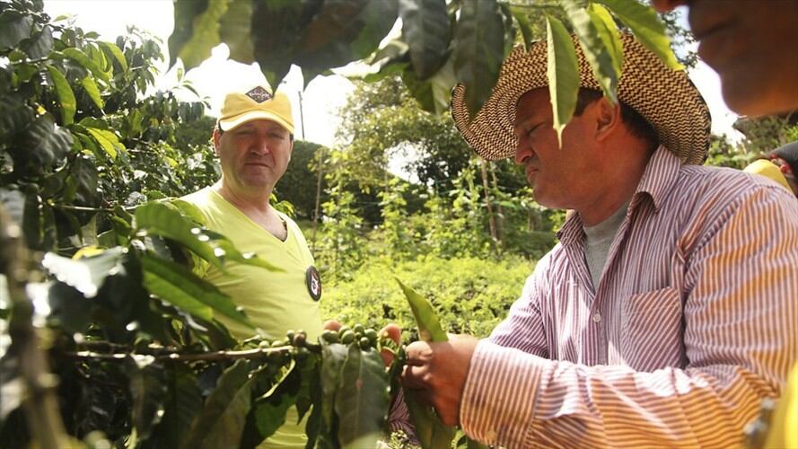 La Federación Nacional de Cafeteros se une a la campaña para la prevención de Fusarium R4T. Foto: Colprensa