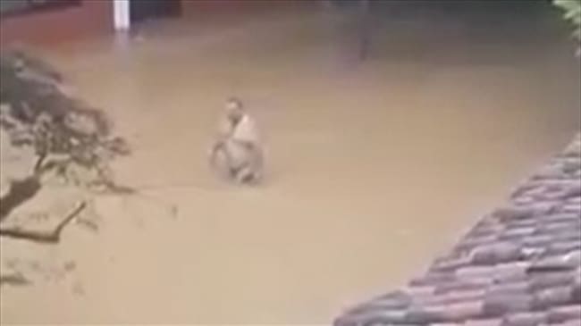 Con el apoyo de los organismos de socorro, las autoridades locales entregaron ayudas humanitarias . Foto: Cortesía Héctor Roque