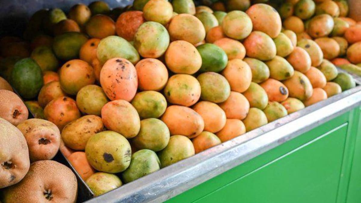 Santa Marta es sede del Quinto Congreso de Mango Colombiano
