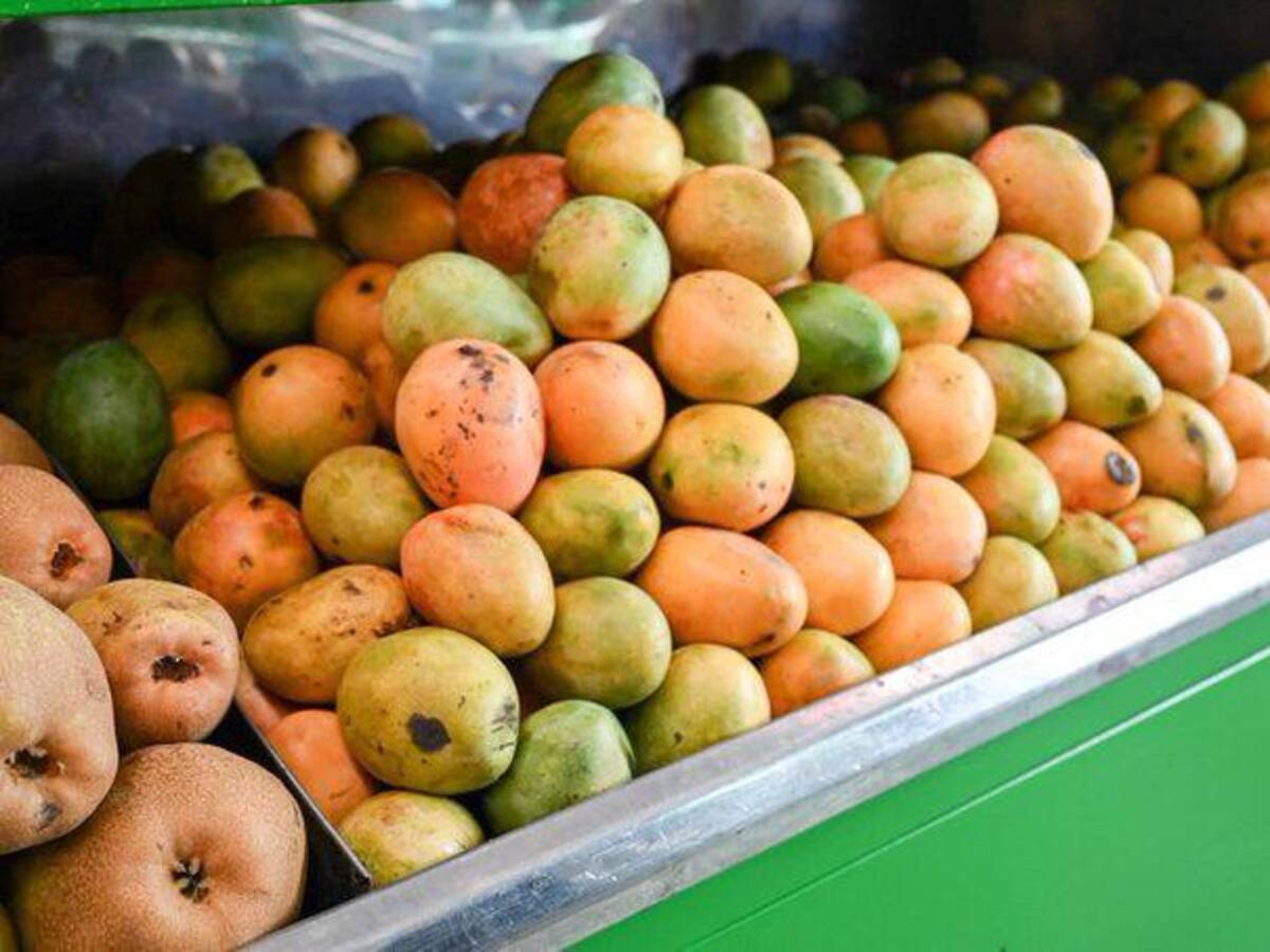 Santa Marta es sede del Quinto Congreso de Mango Colombiano