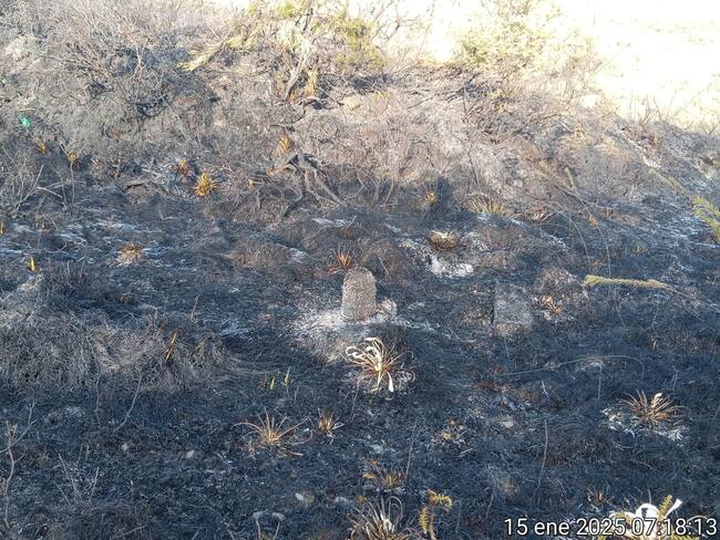 Incendios en Chingaza. Foto: Alcaldía de Bogotá.