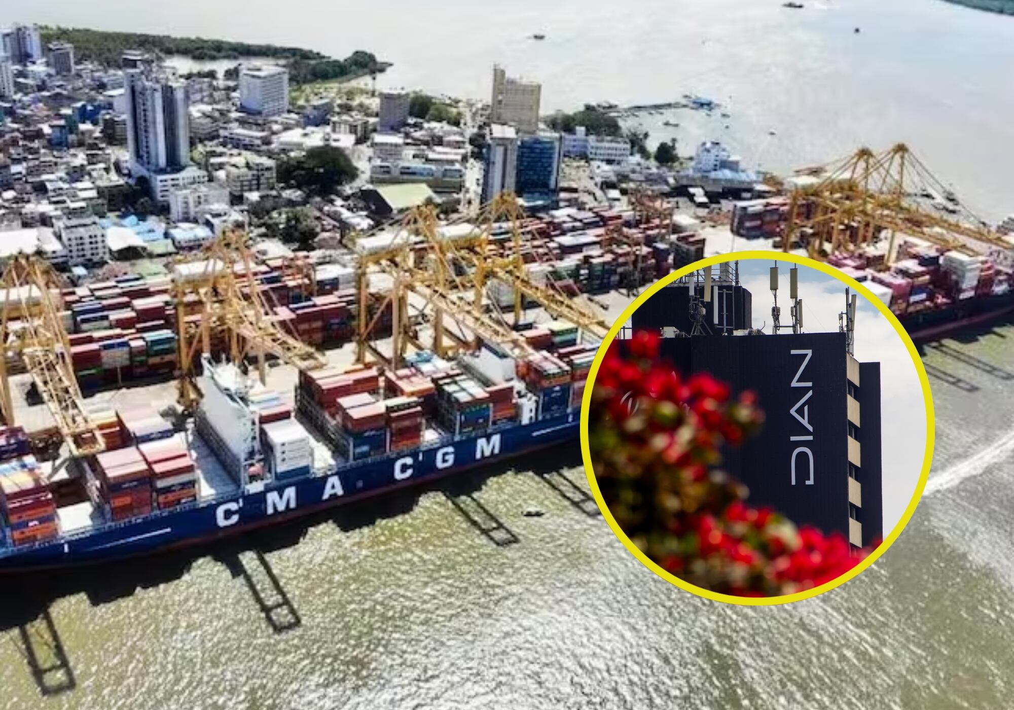 Habla supuesto recomendado de Juan Fernando Petro y enviado de ‘Papá Pitufo’ para Dian Buenaventura 