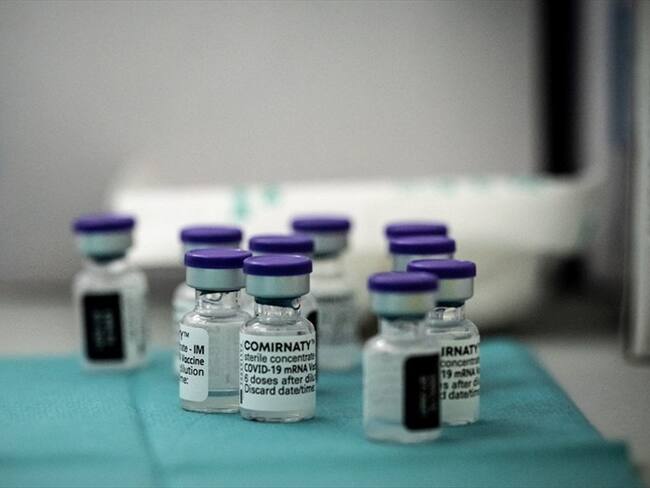 Pfizer anuncia eficacia del 100% de su vacuna anticovid. Foto: JEAN-PHILIPPE KSIAZEK/AFP via Getty Images