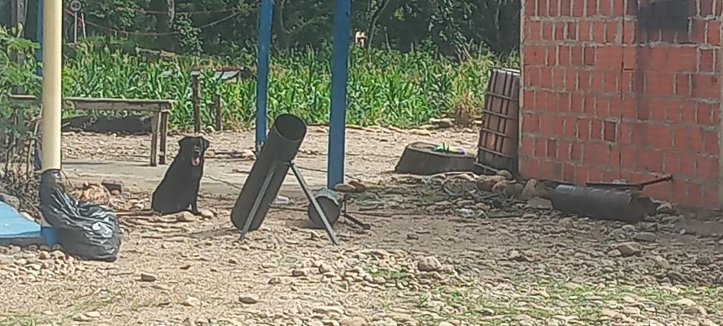 Hallan ramplas y explosivos que iba a usar el ELN para atentar contra Ejército en Arauca. Foto: Suministrada.