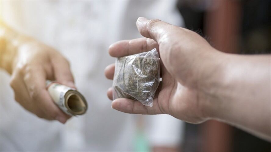 Estas personas tenían lugares de almacenamiento y expendio de sustancias estupefacientes como marihuana, tussi (2CB) y perico. Foto: Getty Images / BOONCHAI WEDMAKAWAND