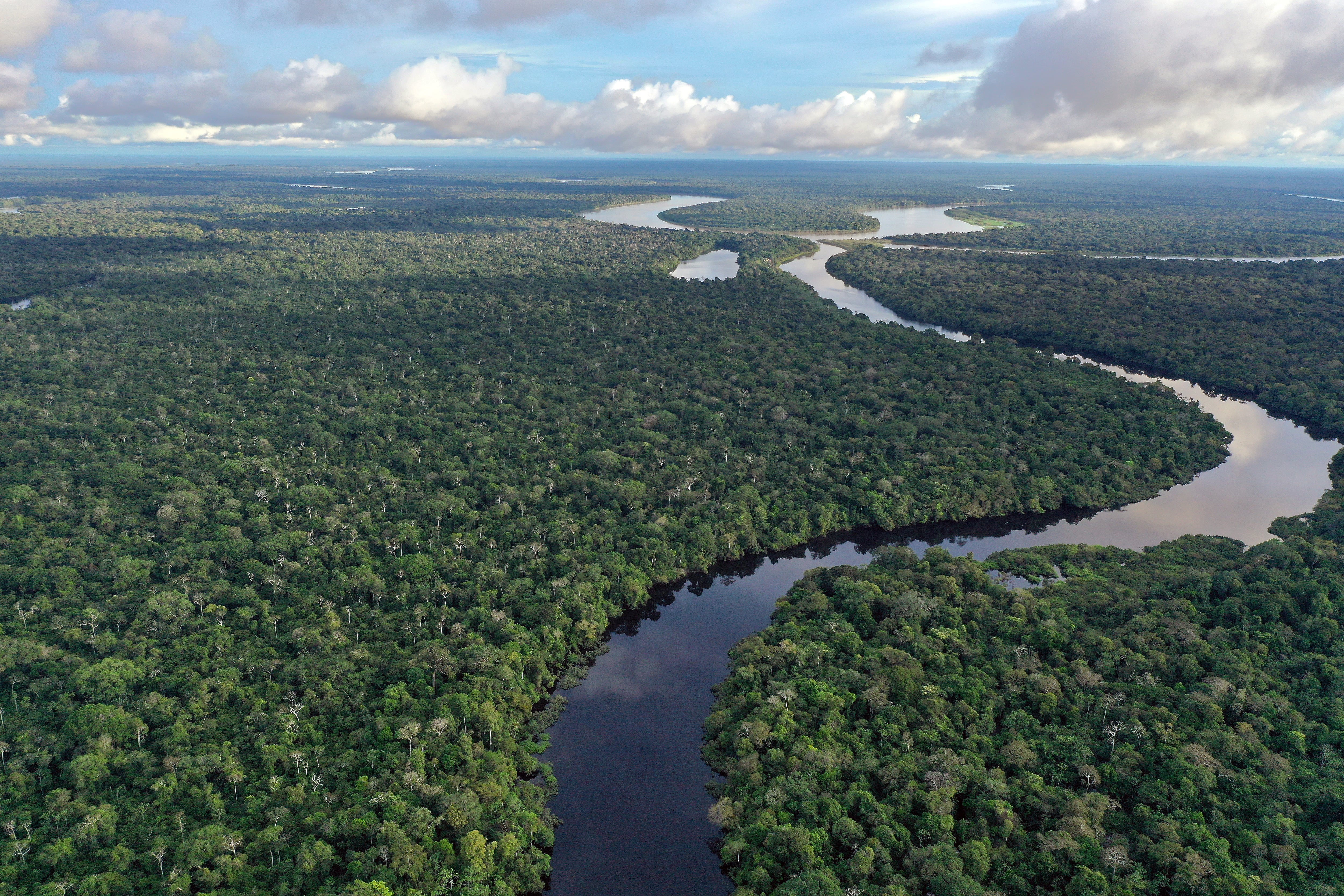 Río Amazonas - Getty Images