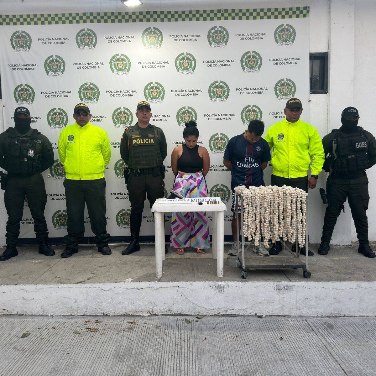 2.500 huevos de iguana fueron incautados en Ciénaga, Magdalena