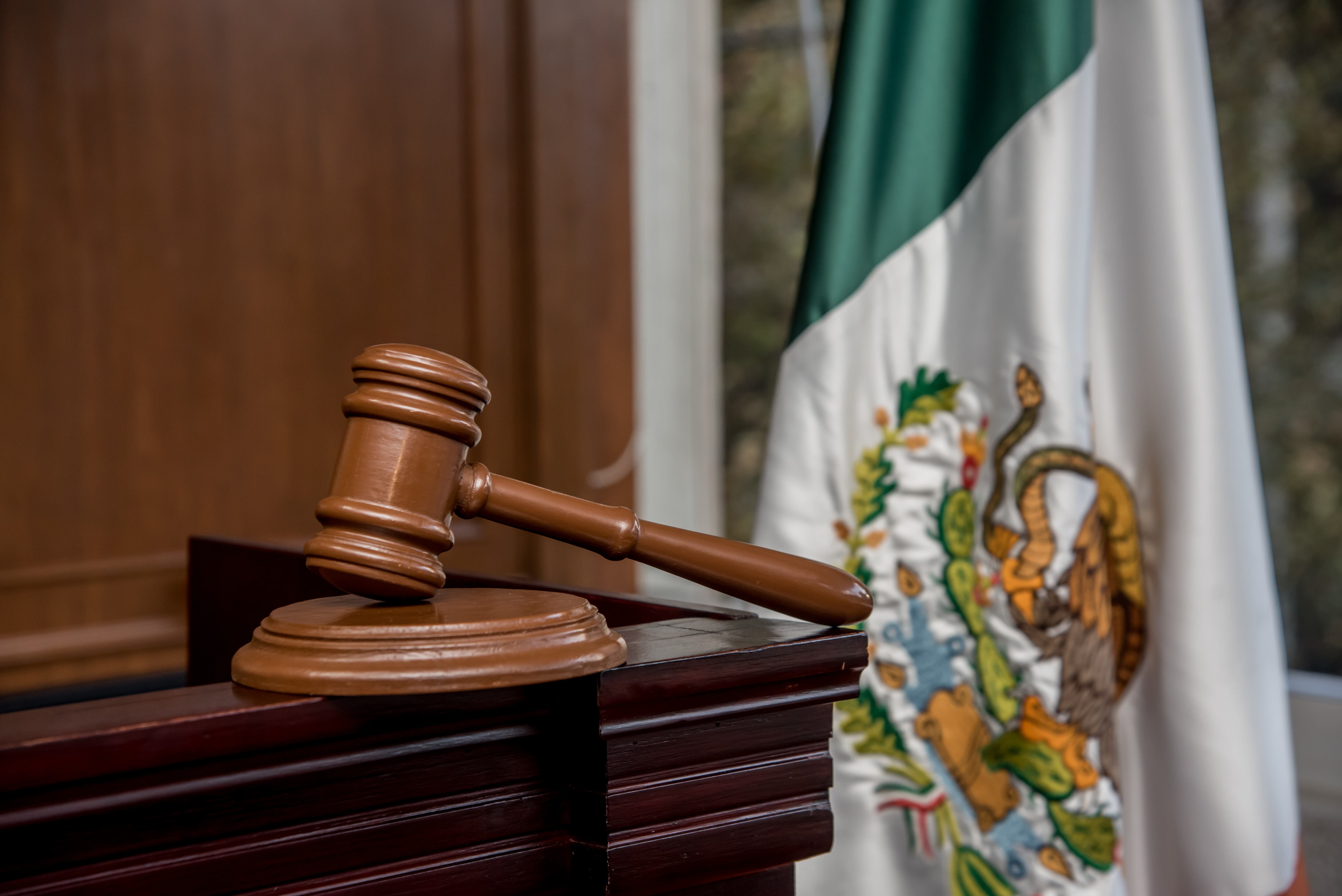 Referencia de rama judicial mexicana. Foto: Amelia Fuentes Marín vía Getty Images.