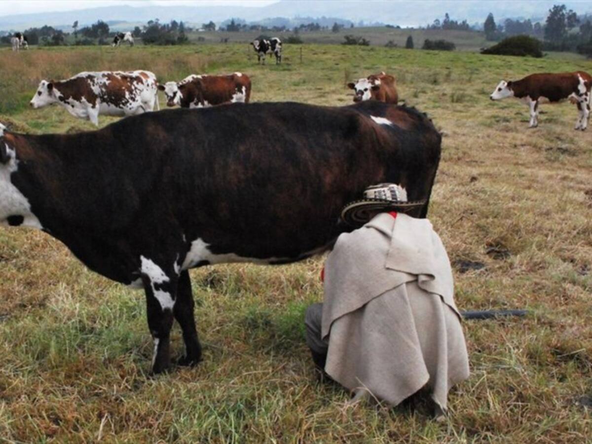 Denuncian éxodo de campesinos en Chivatá por falta de oportunidades labores