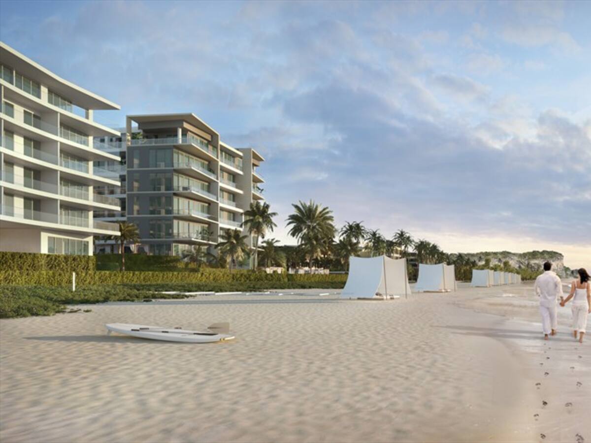 Morros eos: biodiversidad y playa en un solo lugar