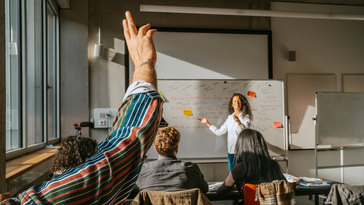 Senadores hablan: ¿Cuáles son los problemas de la ley estatutaria de educación?