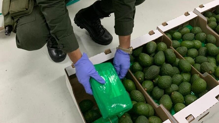 El mercado europeo la droga incautada alcanzaría un costo aproximado de 69 millones de dólares. Foto: Policía Nacional