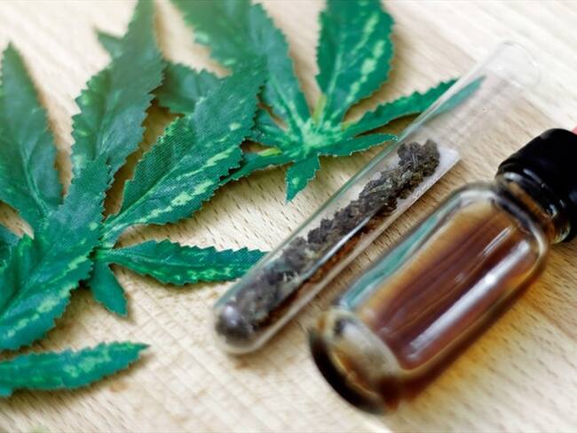 Cannabis medicinal: ¿cómo es el acceso en Colombia y qué beneficios trae?