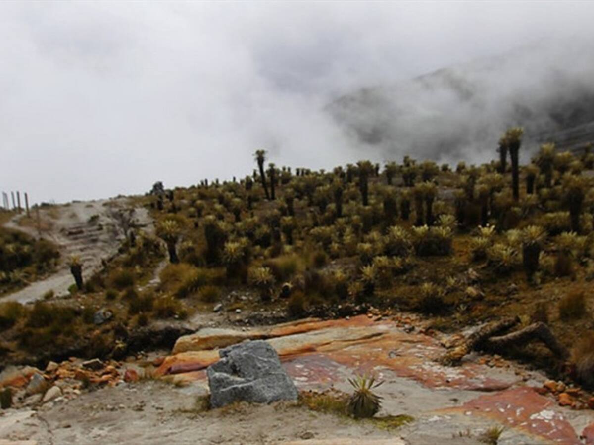 Zozobra en comunidades de nueve municipios de Boyacá por delimitación de páramo del Cocuy