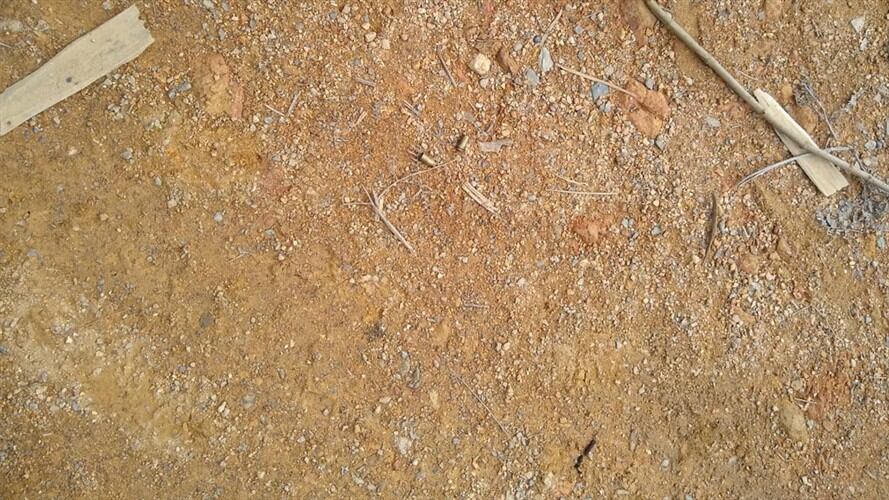 La víctima fue atacada con disparos de arma de fuego de corto alcance. Foto: Cortesía