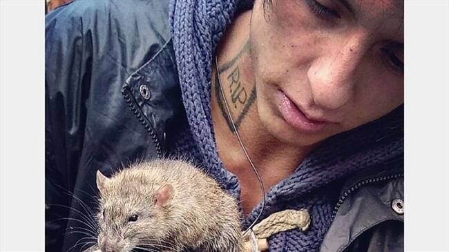 Polémica por hombre que viaja con una rata en Transmilenio. Foto: Facebook