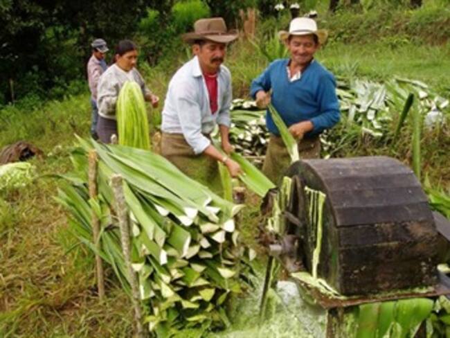 Dane confía en acuerdo de paz para tener éxito en censo agropecuario