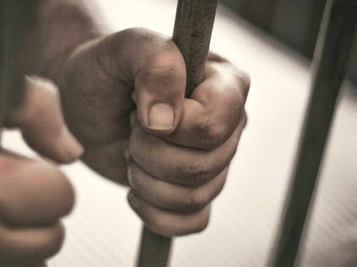 Sentencian a tres años de cárcel a hombre que traficaba tortugas en Ecuador