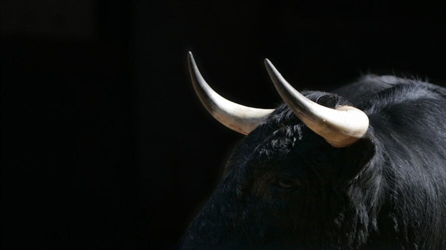 Hombre tomó viagra para toros y tuvo que ser hospitalizado. Foto: Getty Images