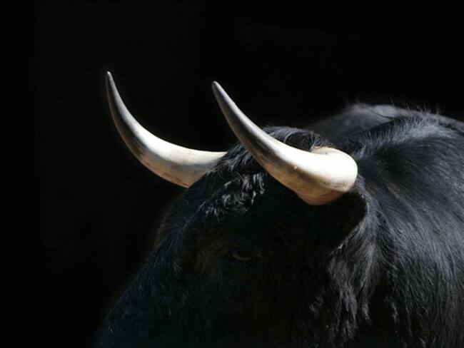 Hombre tomó viagra para toros y tuvo que ser hospitalizado. Foto: Getty Images