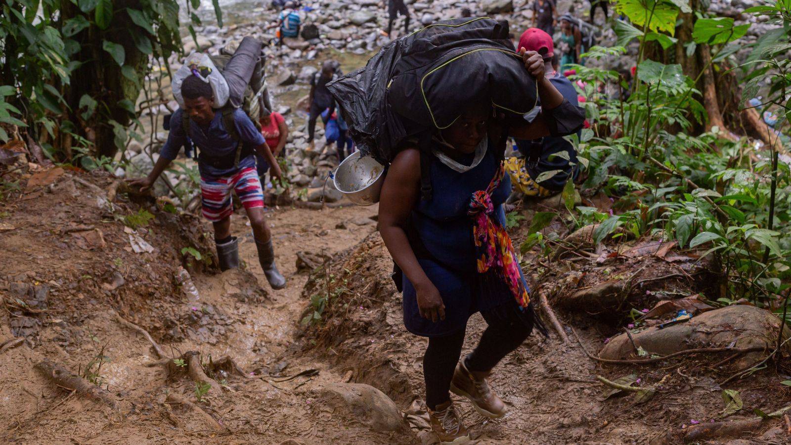 “La Selva del Darién se está convirtiendo en un cementerio de migrantes”. Foto:  Colprensa