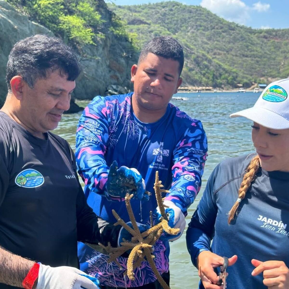 En Santa Marta se conmemora el Día Mundial de los Arrecifes