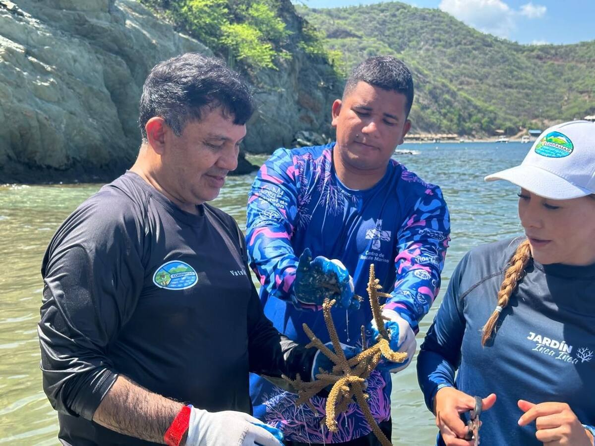 En Santa Marta se conmemora el Día Mundial de los Arrecifes