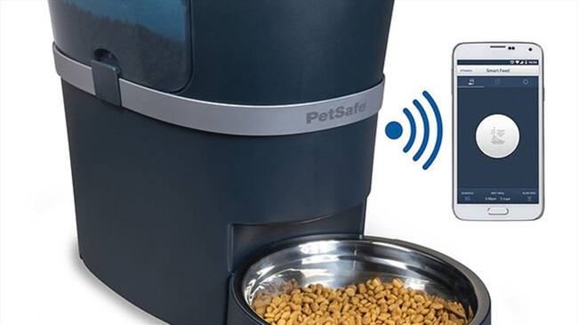 Smart Feed de PetSafe . Foto: Bang Media