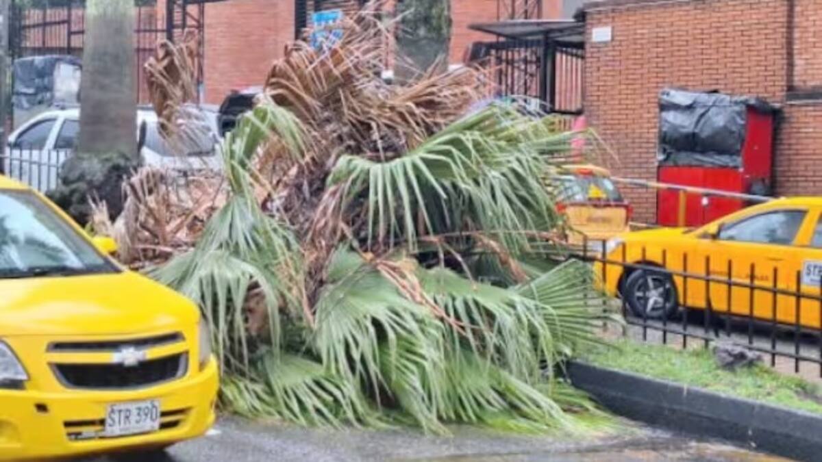 Lluvias acompañadas de granizo dejan varias afectaciones en Manizales