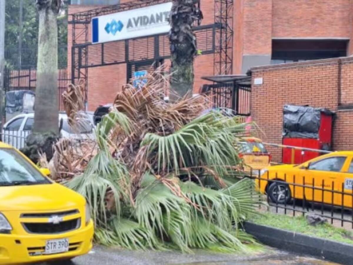 Lluvias acompañadas de granizo dejan varias afectaciones en Manizales