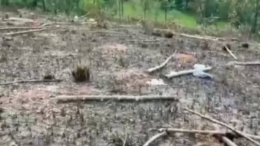 derrame de crudo / Ecopetrol