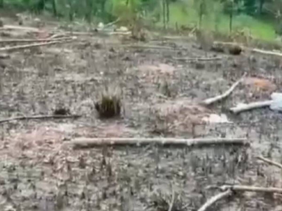 Emergencia ambiental en Barrancabermeja por derrame de crudo