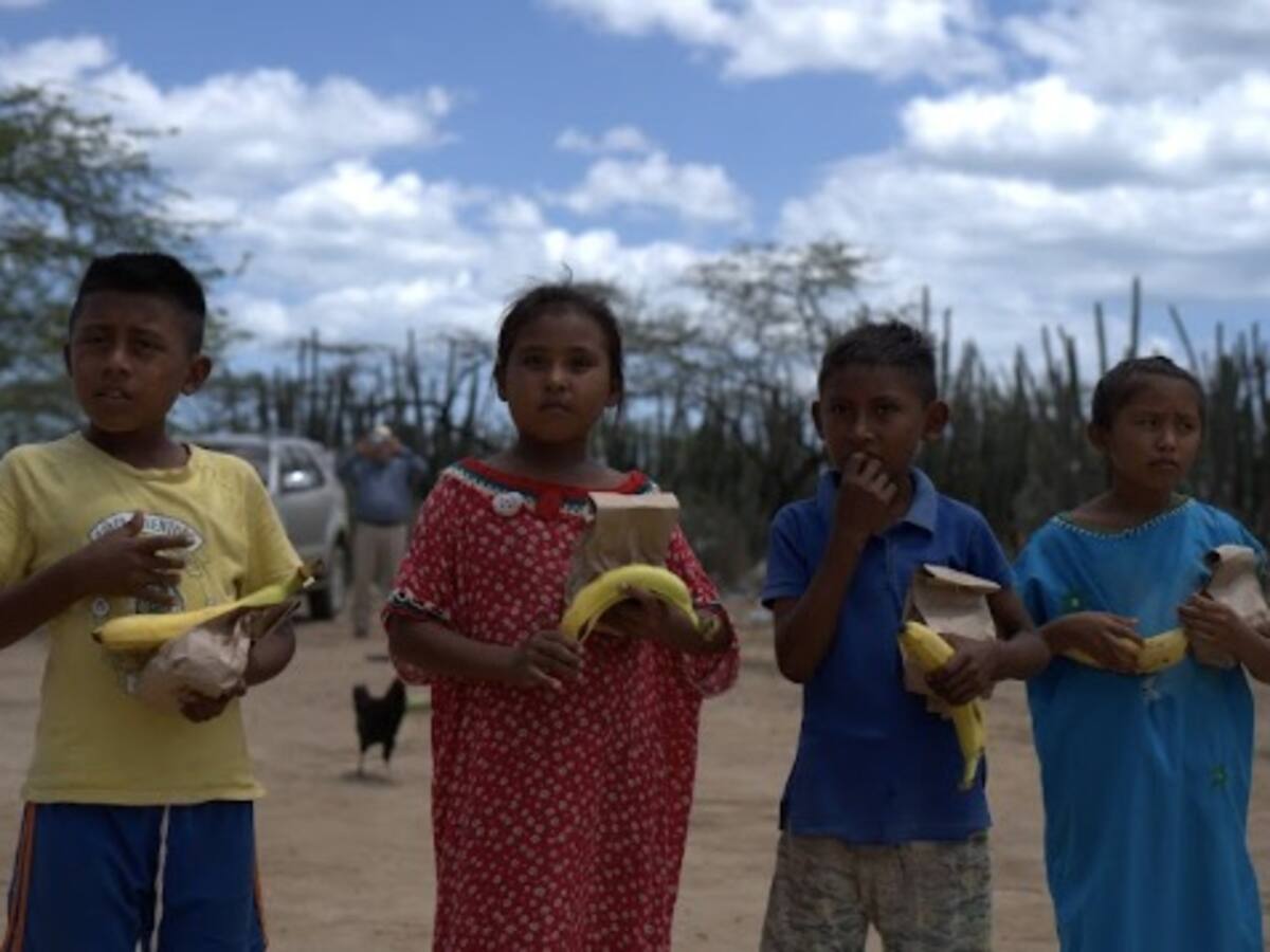 Estos son los problemas estructurales que agudizan la desnutrición en Colombia