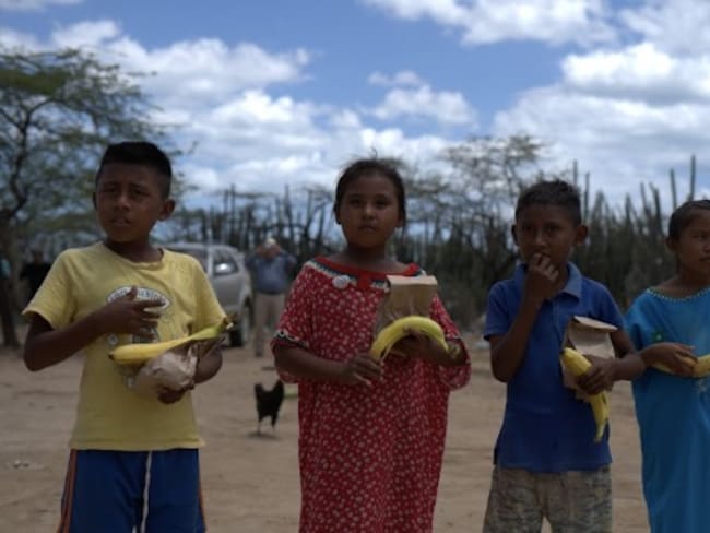 Estos son los problemas estructurales que agudizan la desnutrición en Colombia