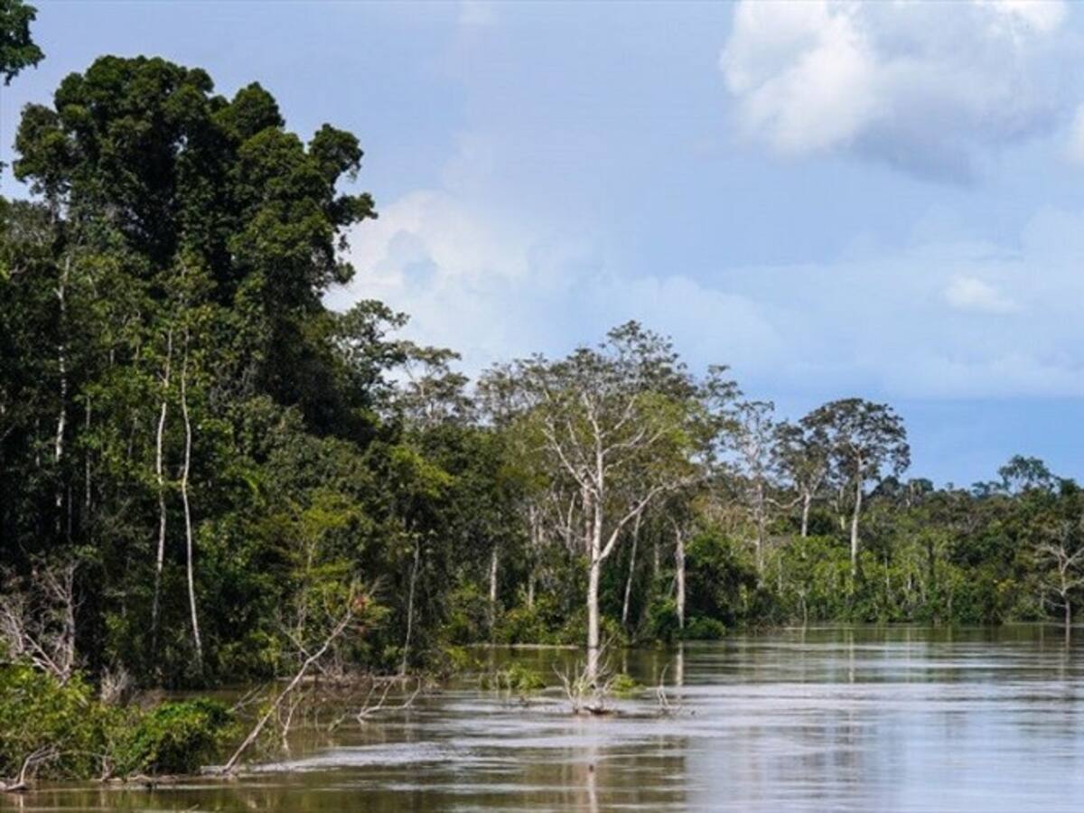 Luchamos por la vida del planeta: Nemonte Nenquimo, una de los 100 influyentes de Time