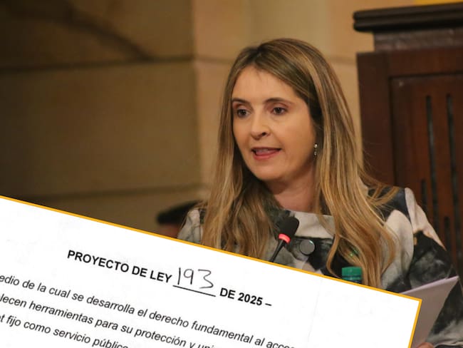 Al Oído | Buscan tomar posesión de medios de comunicación en plena época electoral: Paloma Valencia
