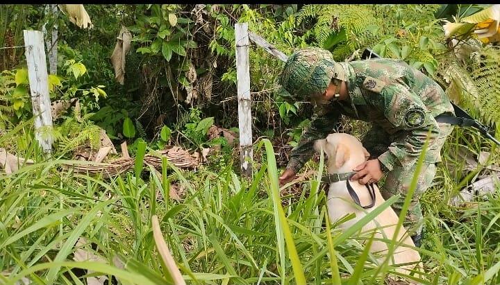 minas antipersonal. Foto: Cortesía Ejército Nacional.