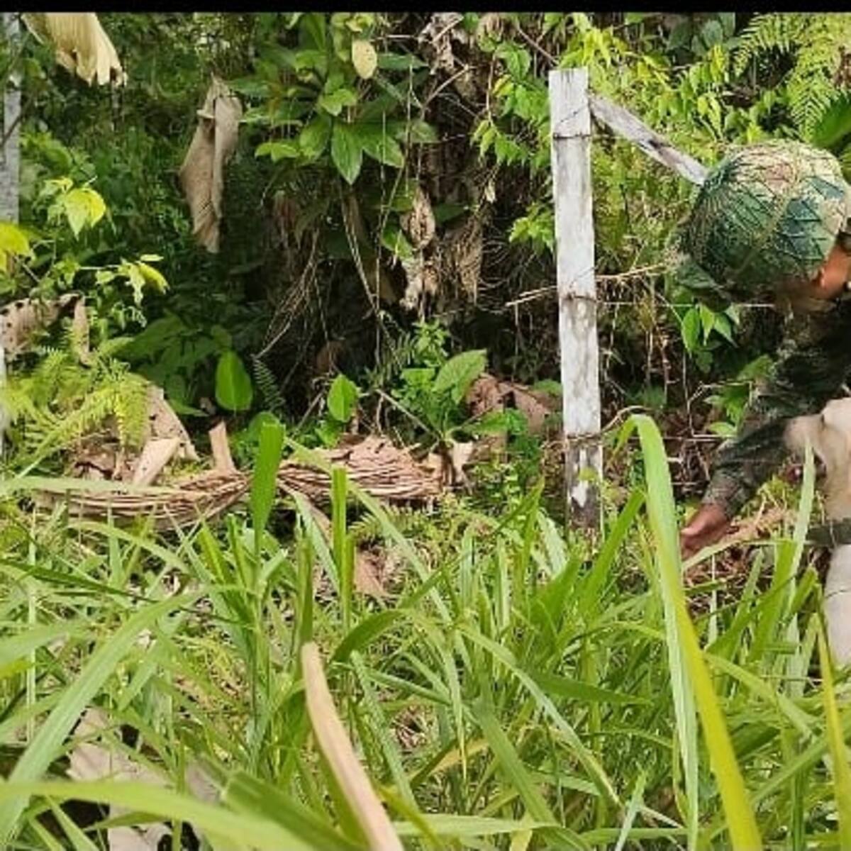 Ubican depósito ilegal de minas antipersonal en zona de frontera con Ecuador
