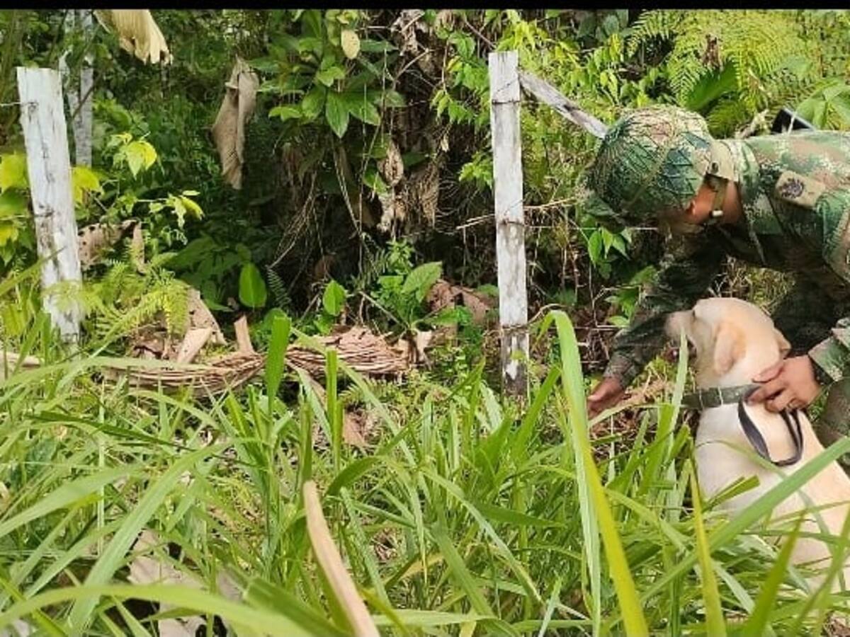 Ubican depósito ilegal de minas antipersonal en zona de frontera con Ecuador