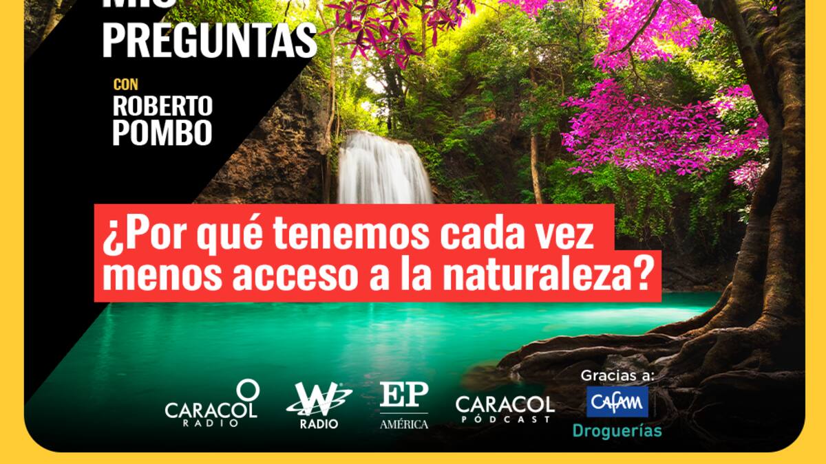 ¿Por qué tenemos cada vez menos acceso a la naturaleza?