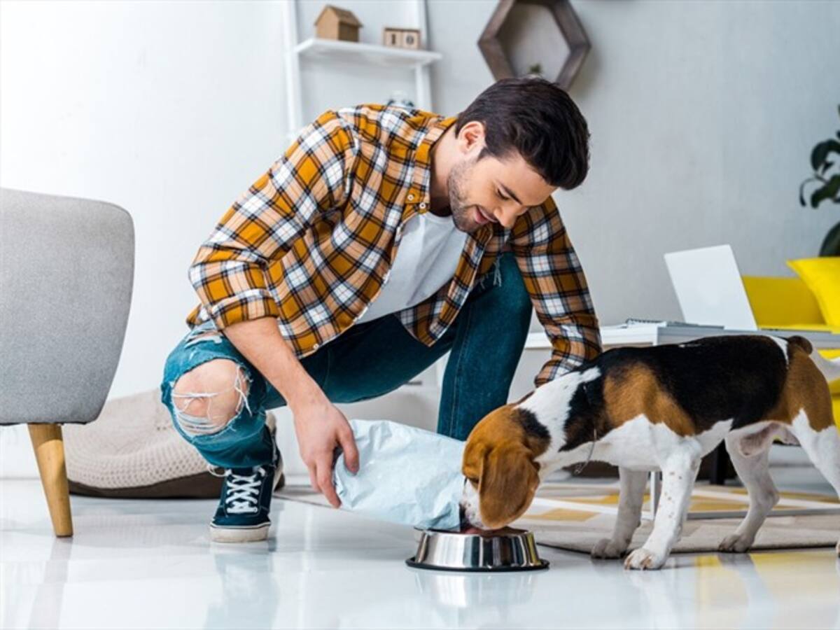 Un chef bogotano le apuesta a la comida gourmet para mascotas