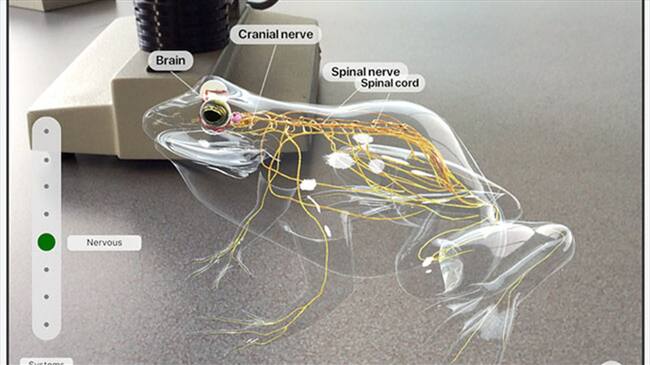 Apple le apuesta a la educación . Foto: Bang Media