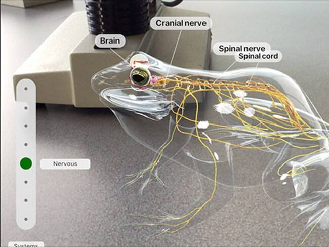 Apple le apuesta a la educación . Foto: Bang Media