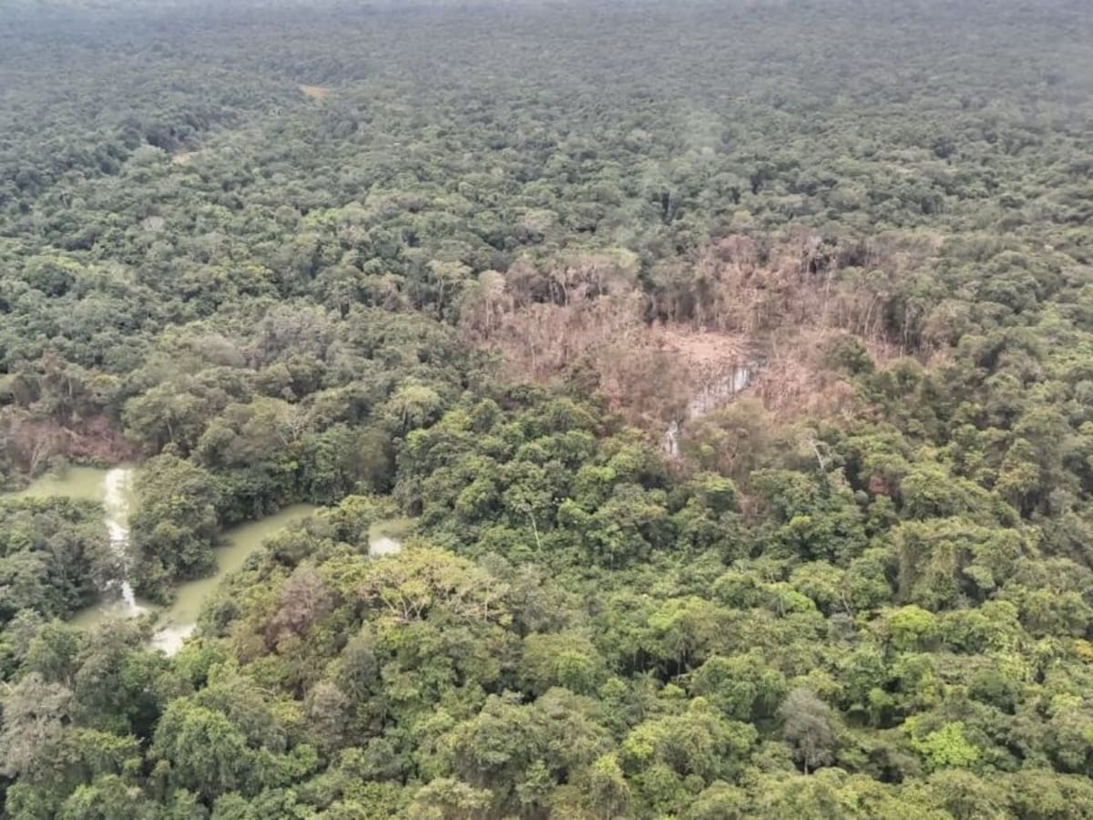 Defensora criticó al presidente De La Espriella por caminar orgulloso entre muertos tras bombardeos
