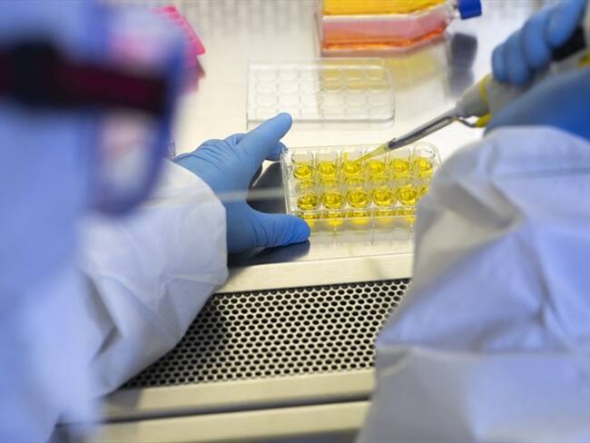 El objetivo es atajar la "tormenta citoquínica", una reacción inflamatoria descontrolada que surge en las formas más graves de neumonía causada por COVID-19.. Foto: Getty Images