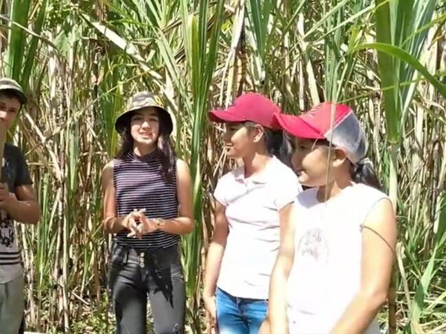 Estamos llevando a cabo varios proyectos como siembra de árboles y enseñando a reciclar: Luisa Zambrano. Foto: 'Mi mundo en el campo' en Youtube