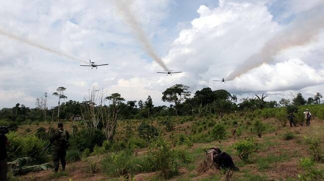 Gobierno publica proyecto para reglamentar la aspersión aérea de cultivos ilícitos. Foto: Colprensa