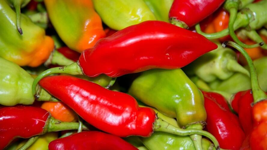Beneficios del ají. Foto: Getty Images