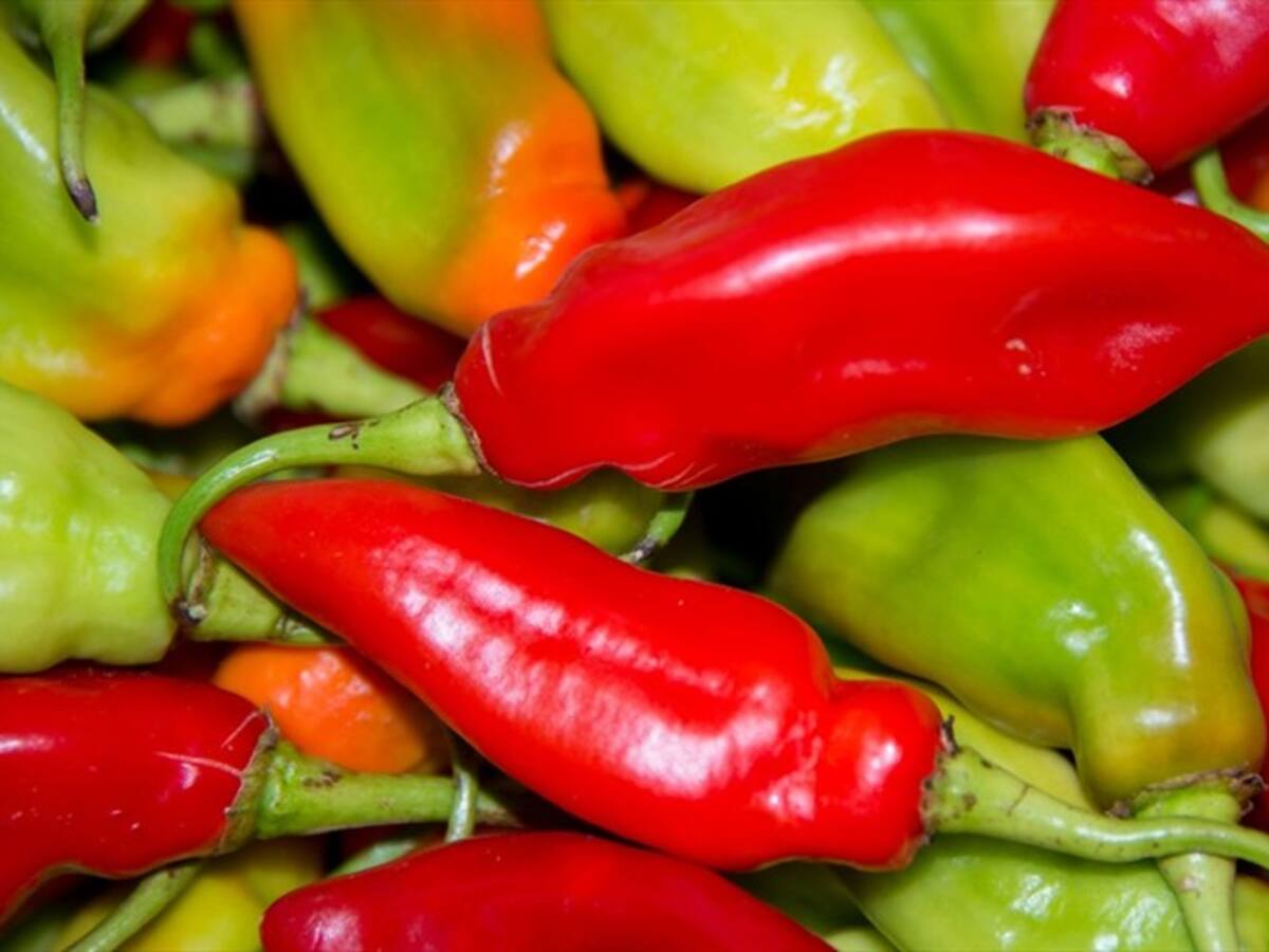 Los beneficios para la salud del ají que probablemente no conocía